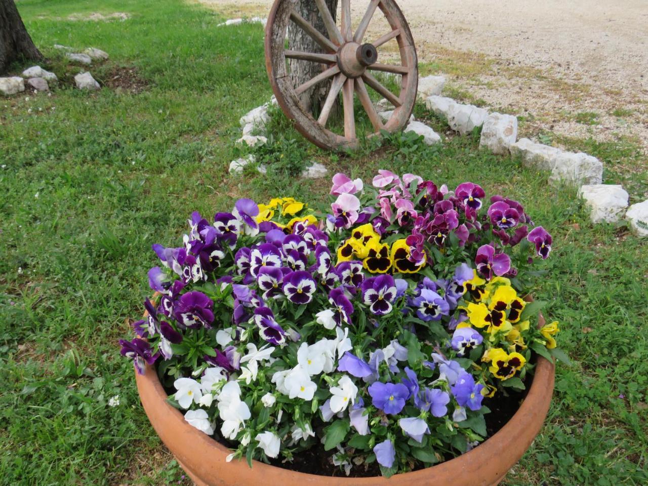 Agriturismo San Martino Фолиньо Екстериор снимка