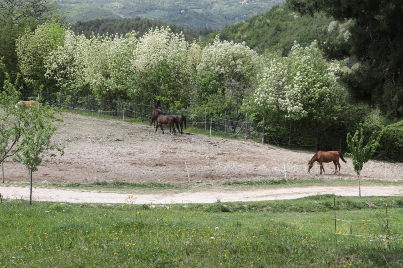 Agriturismo San Martino Фолиньо Екстериор снимка