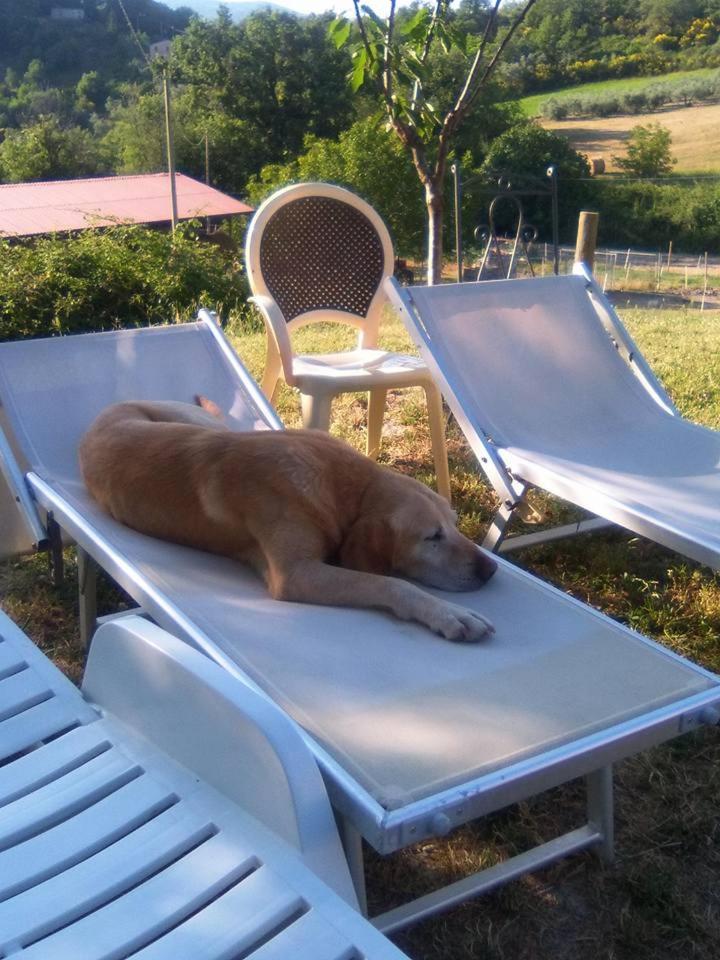 Agriturismo San Martino Фолиньо Екстериор снимка
